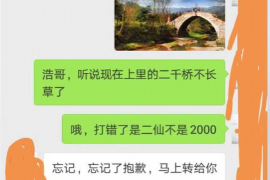 嘉峪关嘉峪关的要账公司在催收过程中的策略和技巧有哪些？